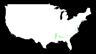 Majority-black counties (2000)